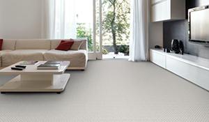 Shop our Featured Premier Stainmaster Pet Protect flooring in the Online Product Catalog.